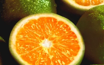 The Benefits Of Vitamins C And D For Skin